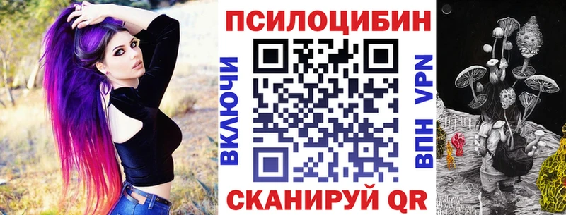 купить закладку  Болхов  Псилоцибиновые грибы прущие грибы 